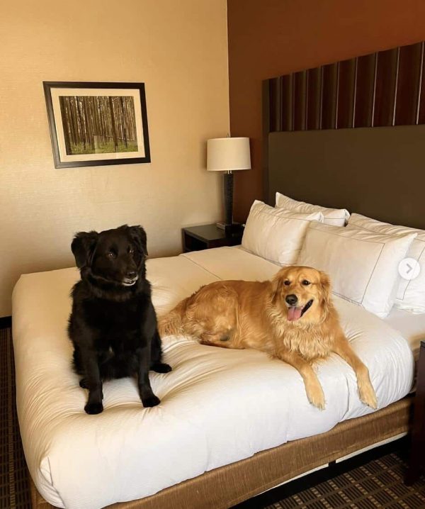 DoubleTree by Hilton Hotel Flagstaff